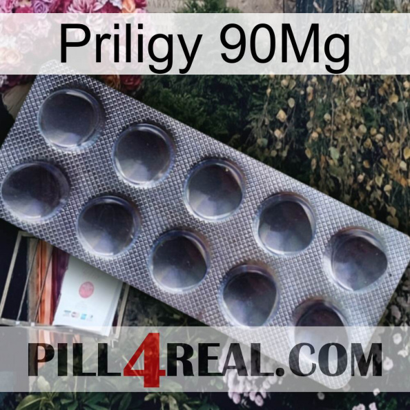 Priligy 90Mg 30.jpg